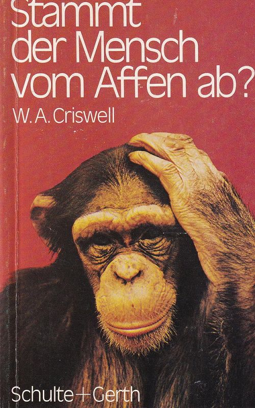 Stammt der Mensch vom Affen ab? 