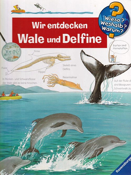 Wir entdecken Wale und Delfine 