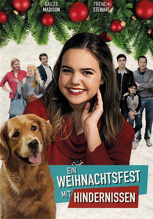 Ein Weihnachtsfest mit Hindernissen [DVD]