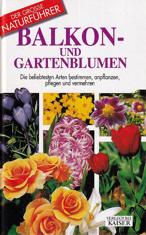 Balkon- und Gartenblumen