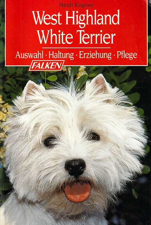 West Highland White Terrier