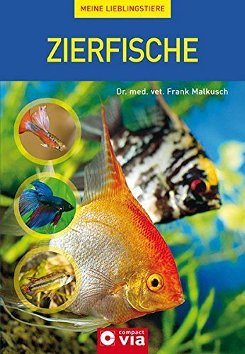 Zierfische