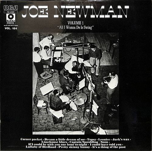 All I Wanna Do Is Swing Volume 1  [Vinyl]