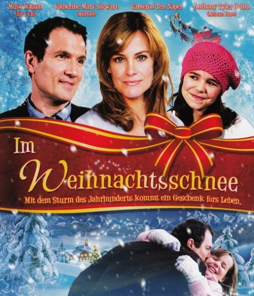 Im Weihnachtsschnee [Blu-ray]