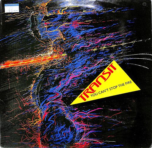 You Can't Stop The Fire [Vinyl]