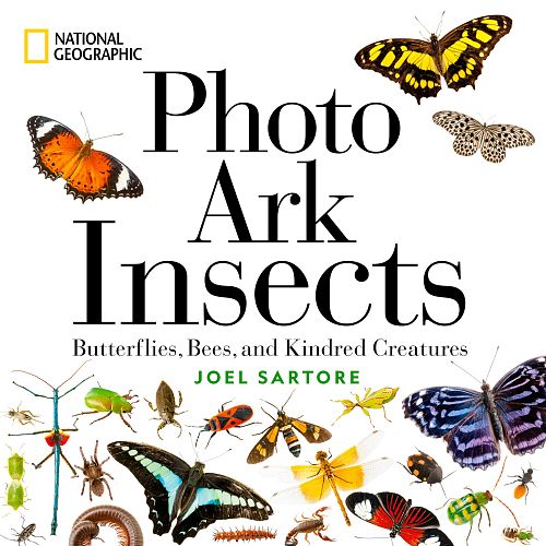 National Geographic - Photo Ark Insects