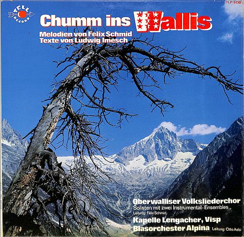 Chumm ins Wallis [Vinyl]