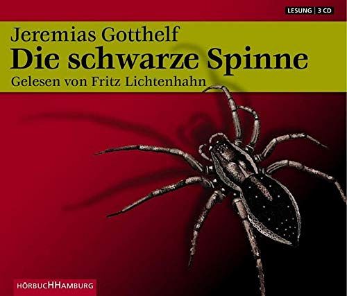 Die schwarze Spinne