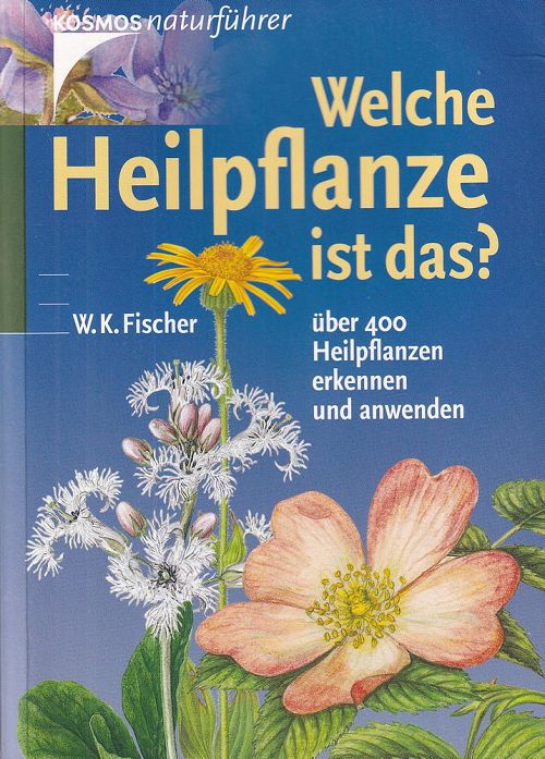 Welche Heilpflanze ist das?