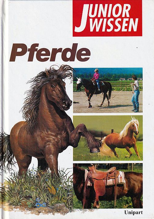 Pferde