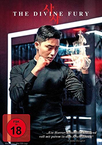 The Divine Fury [DVD]