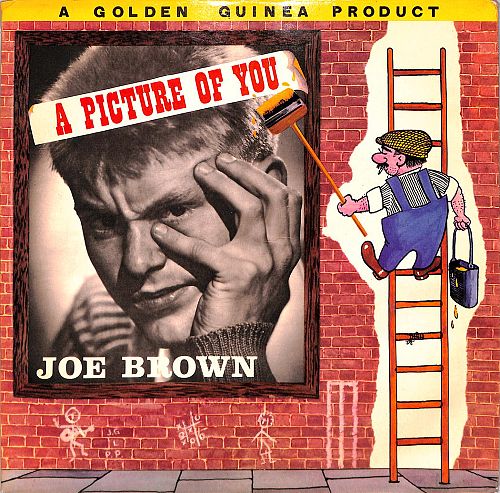 Pictures of You [Vinyl]