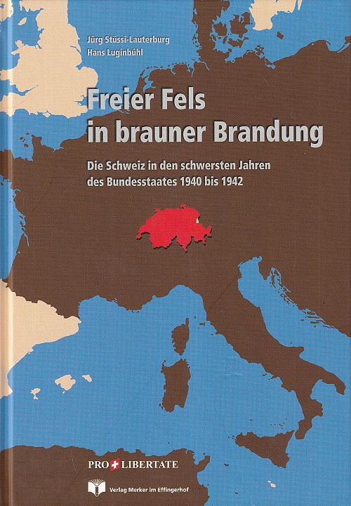 Freier Fels in brauner Brandung