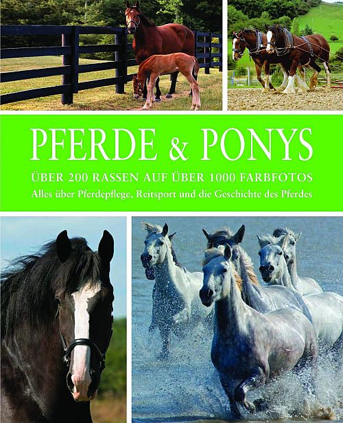 Pferde & Ponys