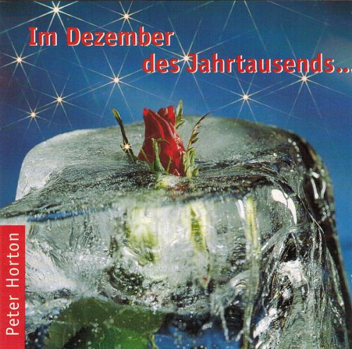 Im Dezember des Jahrtausends... [CD]