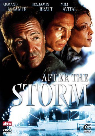 After the Storm [DVD]