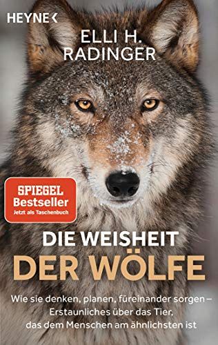 Die Weisheit der Wölfe - Wie sie denken, planen, füreinander sorgen