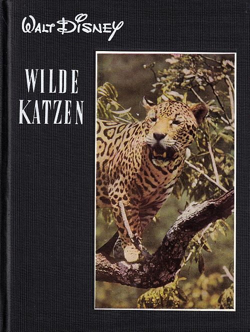 Wilde Katzen