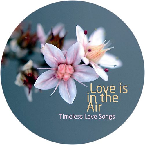 Love Is in the Air [CD]
