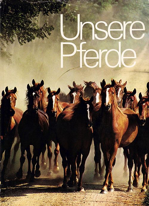 Unsere Pferde