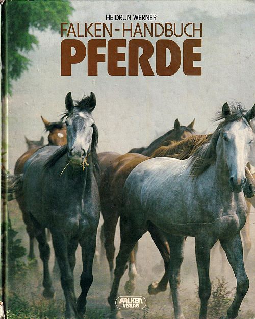 Pferde