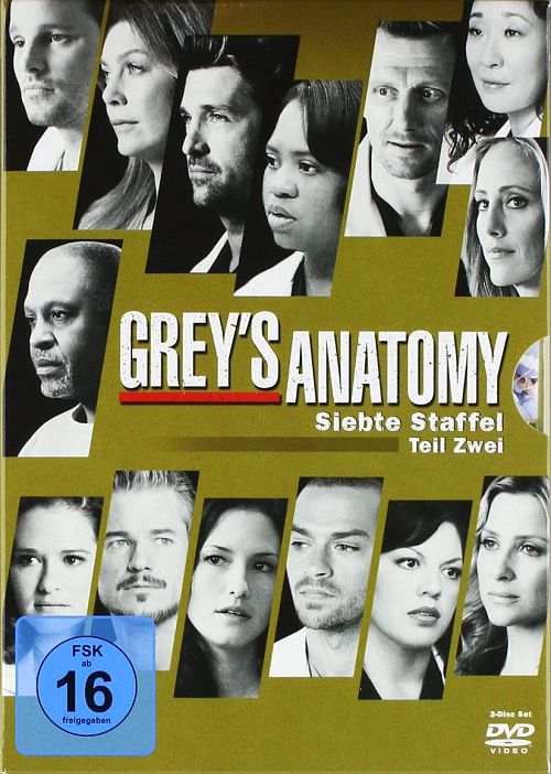 Grey's Anatomy Staffel 7.2 [DVD]