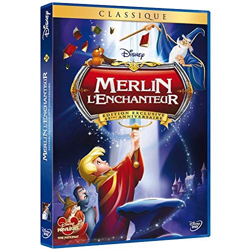 Merlin - L'enchanteur [DVD]