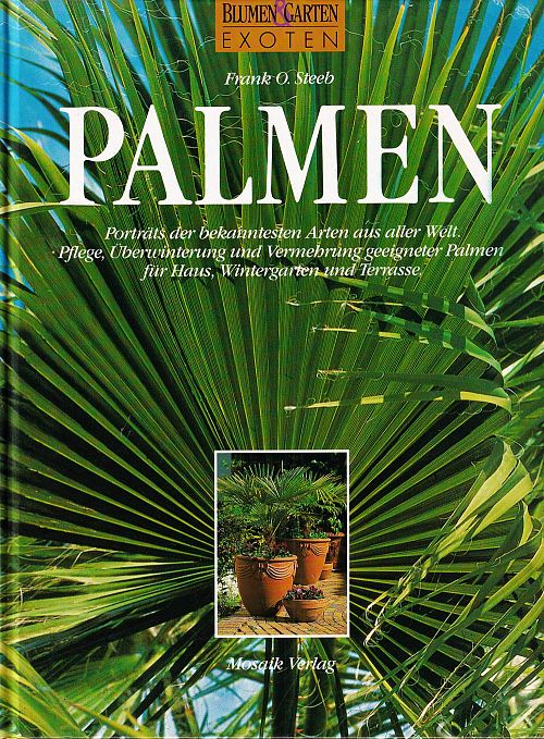 Palmen 
