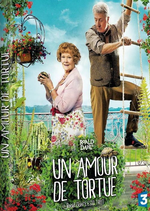 Un amour de tortue [DVD]