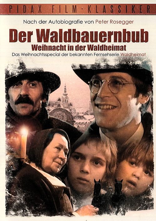 Der Waldbauernbub - Weihnacht in der Waldheimat [DVD]