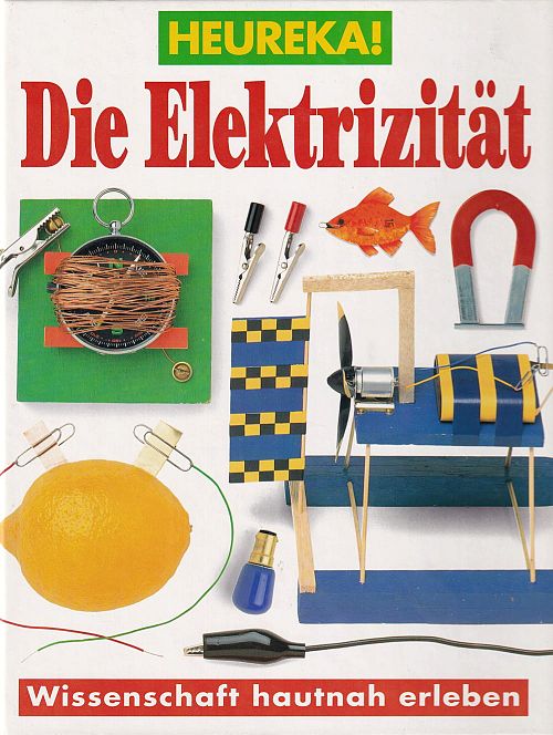 Die Elektrizität
