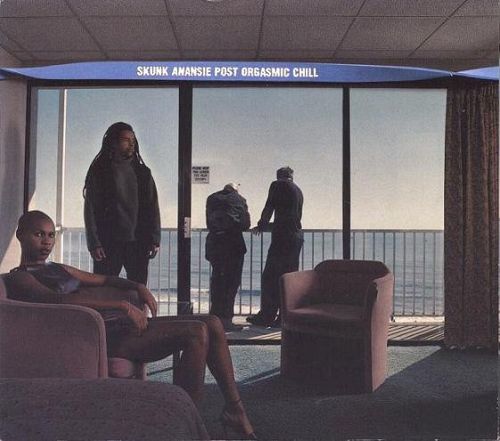 Post Orgasmic Chill [CD]