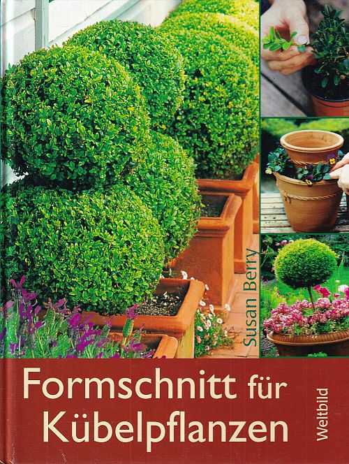 Formschnitt für Kübelpflanzen