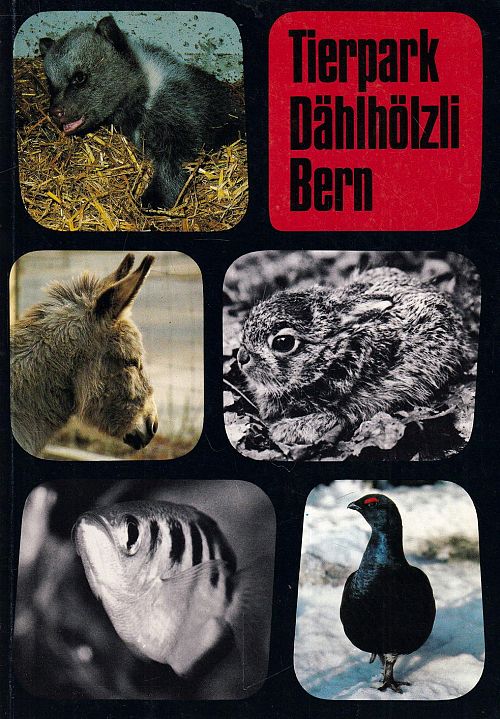 Tierpark Dählhölzli Bern