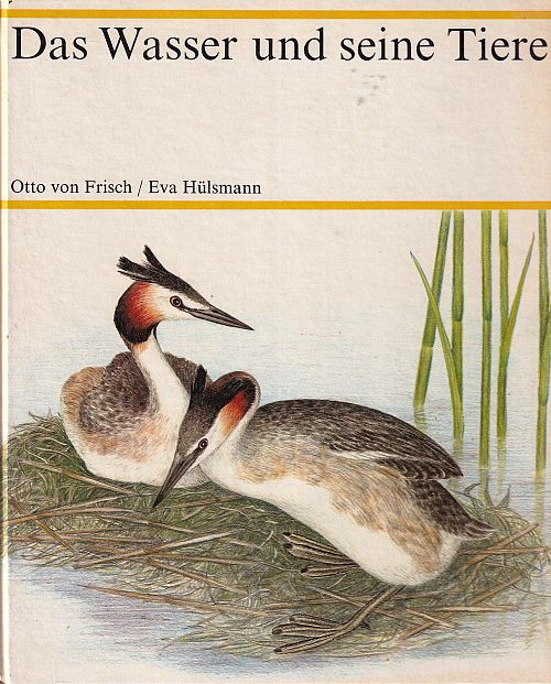 Das Wasser und seine Tiere