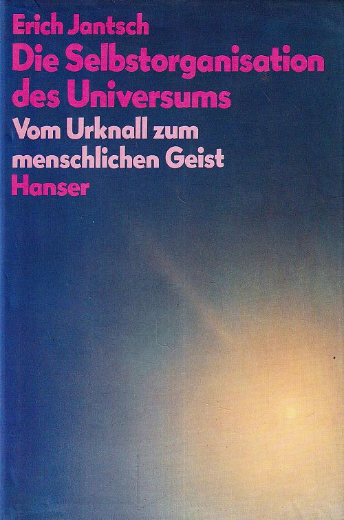 Die Selbstorganisation des Universums