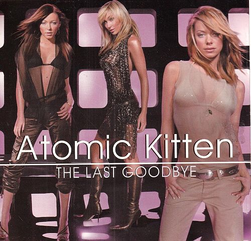 The Last Goodbye [CD]