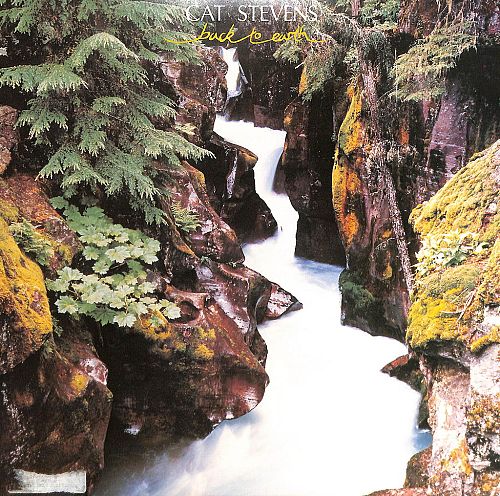 Back to earth [Vinyl]