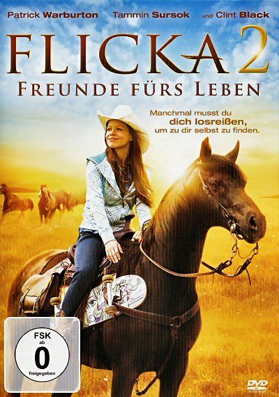 Flicka 2 - Freunde fürs Leben [DVD]