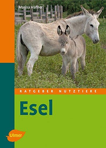 Esel 