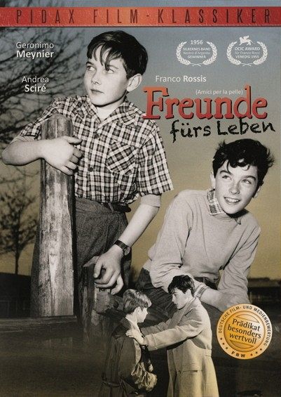 Freunde fürs Leben [DVD]