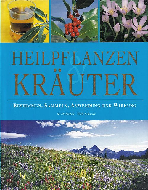Heilpflanzen & Kräuter