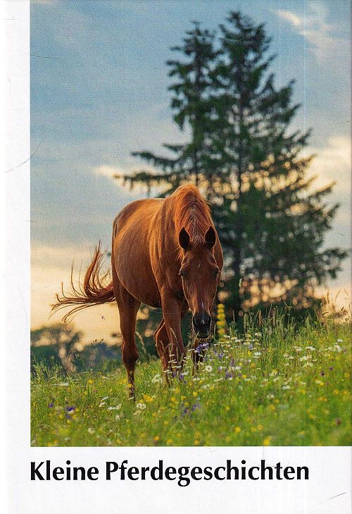 Kleine Pferdegeschichten