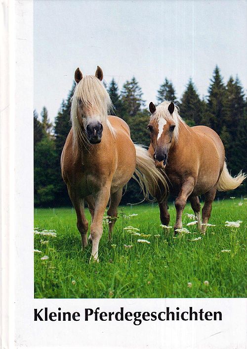 Kleine Pferdegeschichten