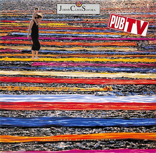 Cruel, Crazy, Beautiful World  [Vinyl]