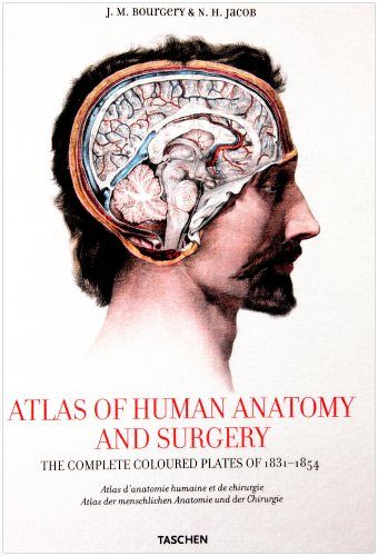 Atlas of Human Anatomy and Surgery