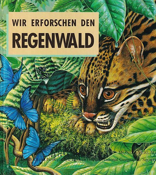 Wir erforschen den Regenwald