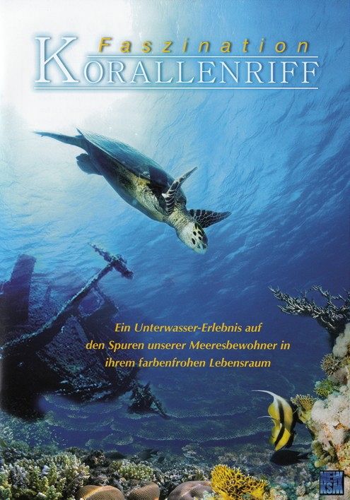Faszination Korallenriff [DVD]