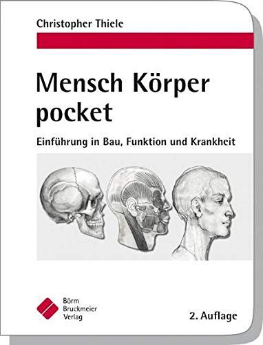 Mensch Körper