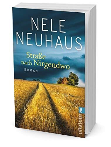 Strasse nach Nirgendwo: Roman